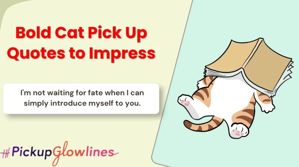 Bold Cat Pick Up Quotes to Impress
