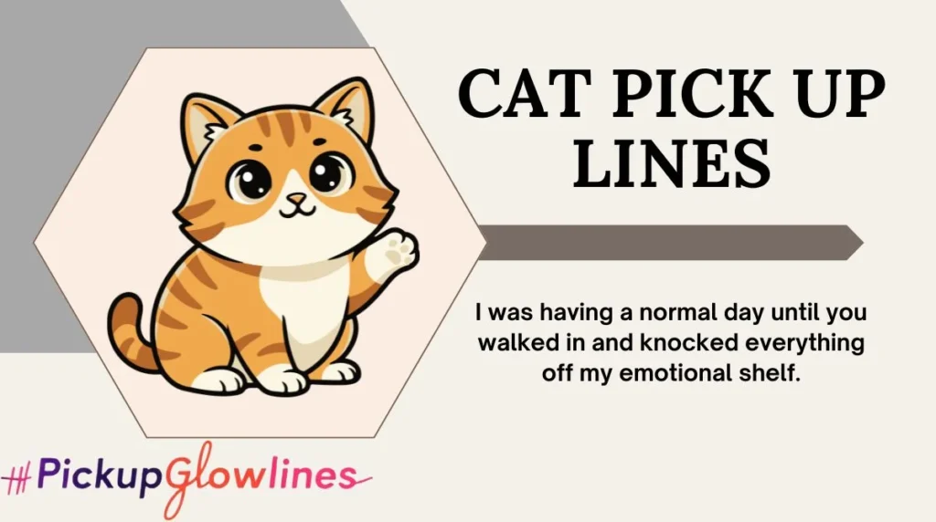 Cat Pick Up Lines