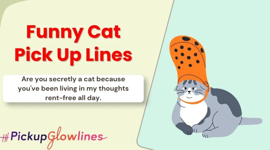 Funny Cat Pick Up Lines