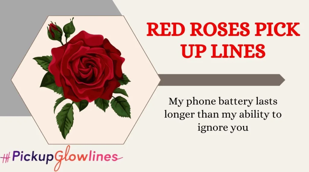 Red Roses Pick Up Lines