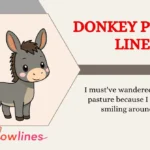 Donkey Pick Up Lines