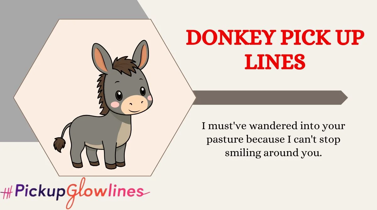 Donkey Pick Up Lines