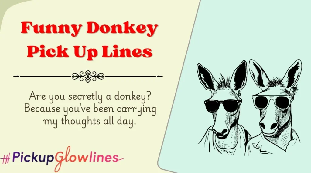 Funny Donkey Pick Up Lines