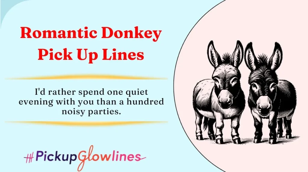 Romantic Donkey Pick Up Lines