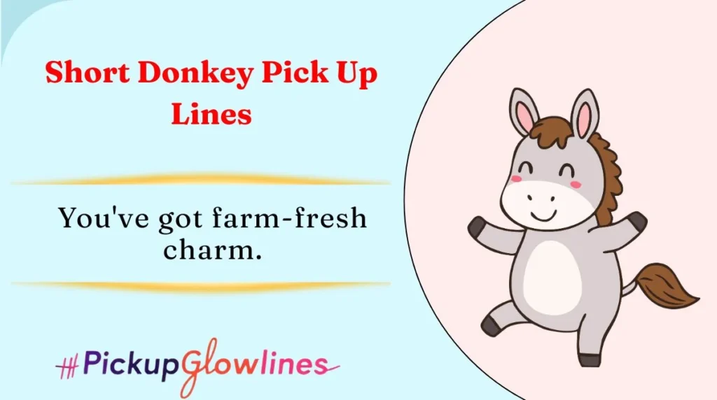 Short Donkey Pick Up Lines